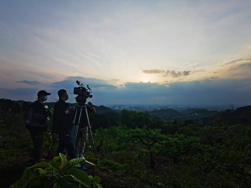 聚焦新丰县产品宣传视频拍摄公司，用专业实力铸就品牌传播传奇