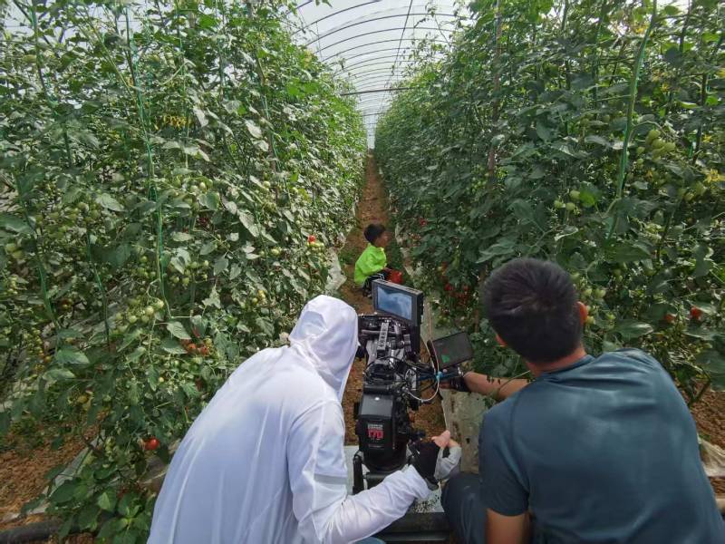 新丰县产品宣传视频拍摄公司进阶指南，助力品牌抢占传播高地